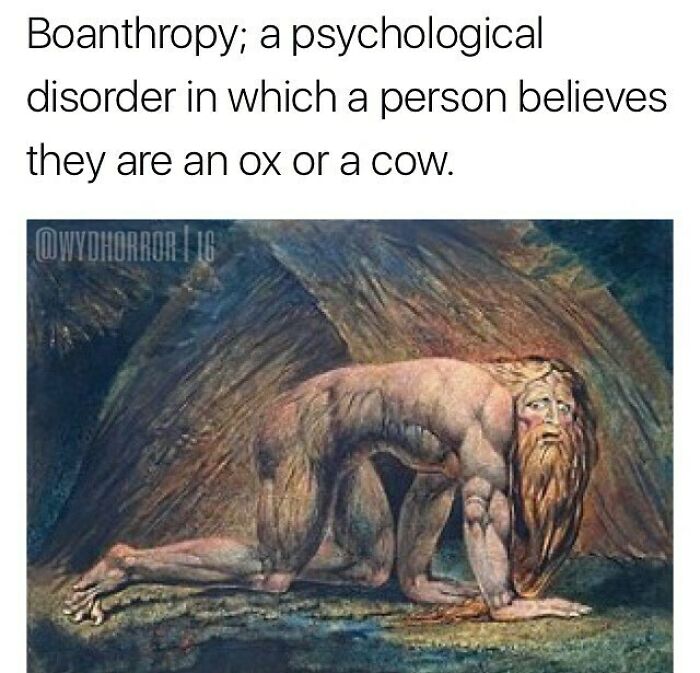 Boanthropy described as a psychological disorder with an illustration of a man believing he is an ox or cow, creepy facts.