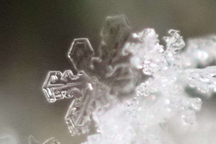 Close-up macro photo of an intricate snowflake revealing tiny details and natural geometric beauty in ice crystals.