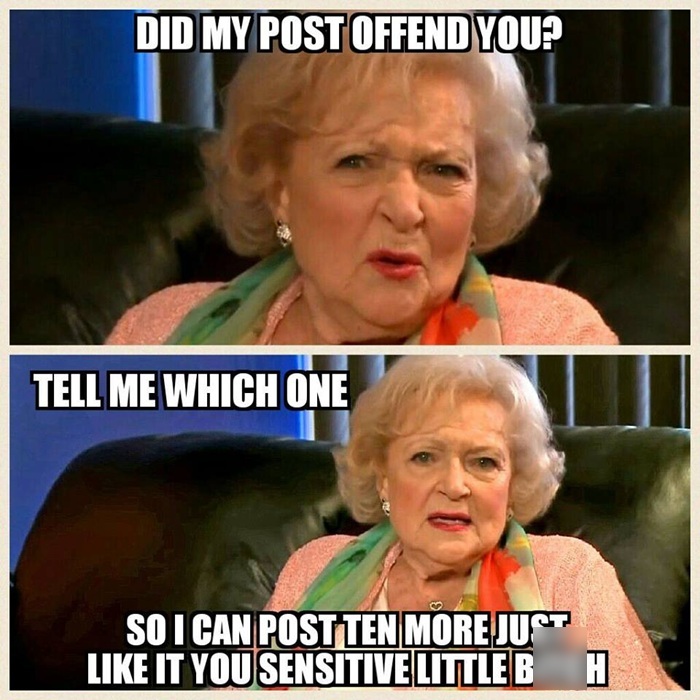 Did I Offend You ???