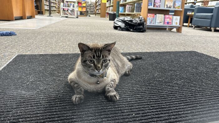 50 Delightfully Weird Facts About The World That People Learned This July