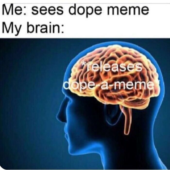Illustration of a human brain lighting up with text about releasing a dope meme, related to funny medical memes.
