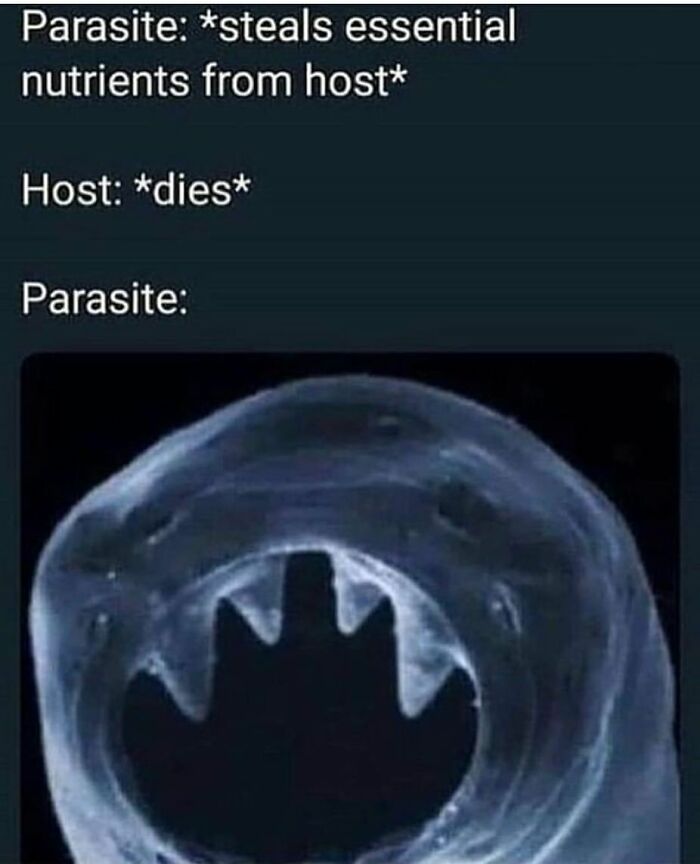 Funny and relatable medical meme showing a parasite with sharp teeth after the host dies, for a doctor checkup laugh.
