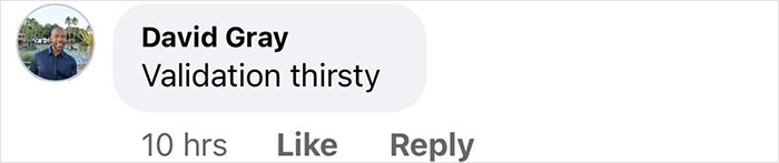 Comment from David Gray reacting to Ellie Goulding's racy selfie amid romance rumors, mentioning validation thirst.