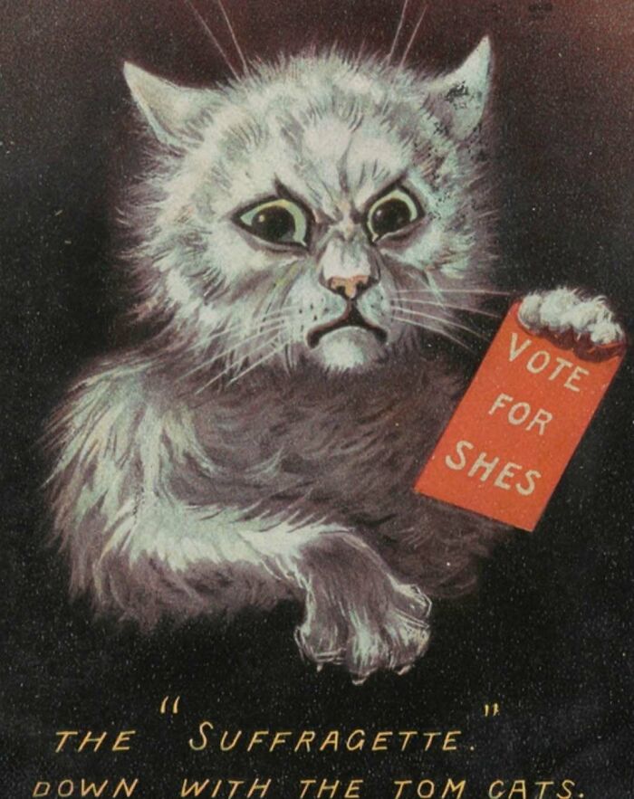Vintage cat illustration holding a Vote for Shes sign, showcasing vintage cats and their charm from past centuries.