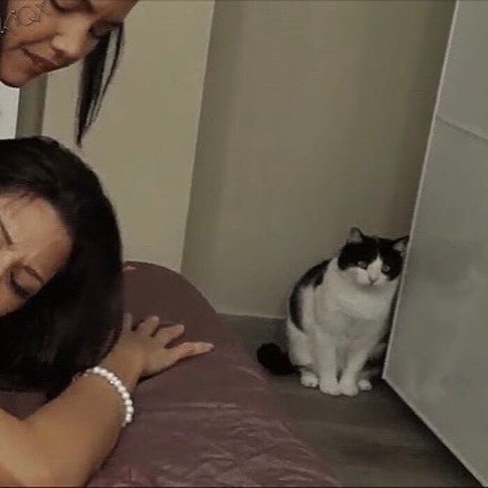 Black and white cat sitting on the floor watching two women leaning over a bed in a funny cat photo.