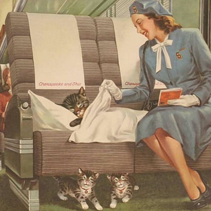 Vintage cats resting on a train seat with a woman in a blue uniform gently covering one cat with a blanket.