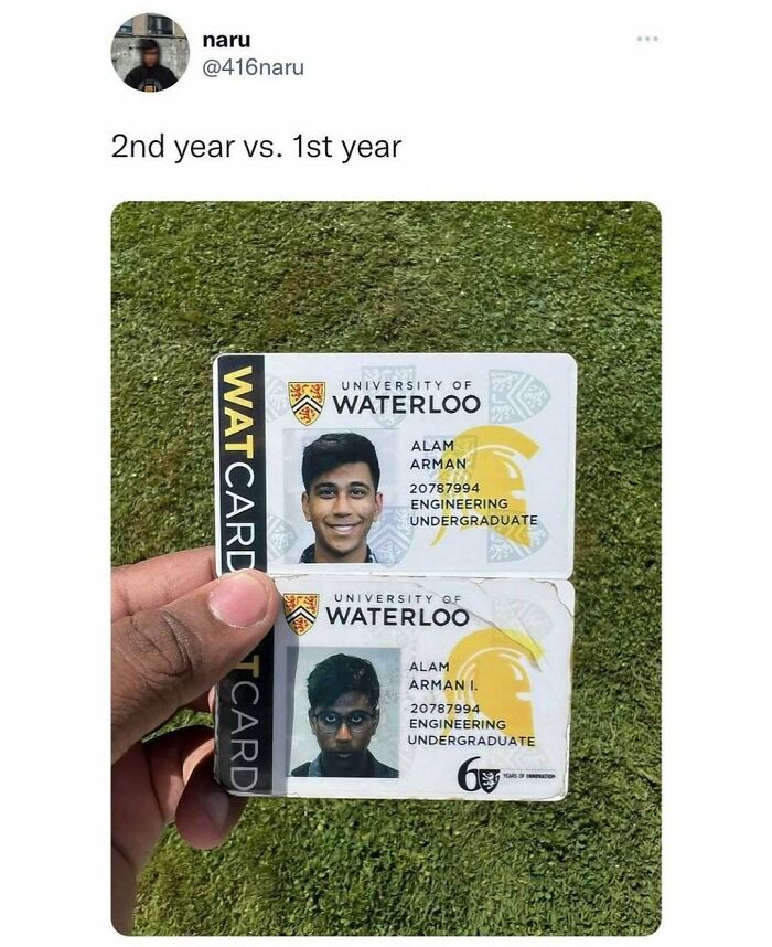 Hand holding two University of Waterloo student IDs showing 2nd year vs 1st year with a chaotic British meme style.