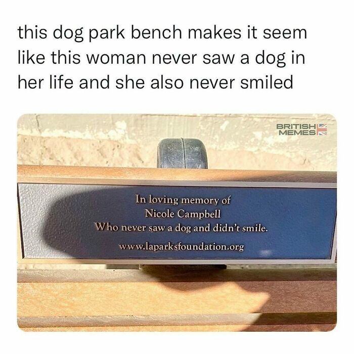 Plaque on a dog park bench humorously memorializing a woman who never saw a dog or smiled, British memes style.