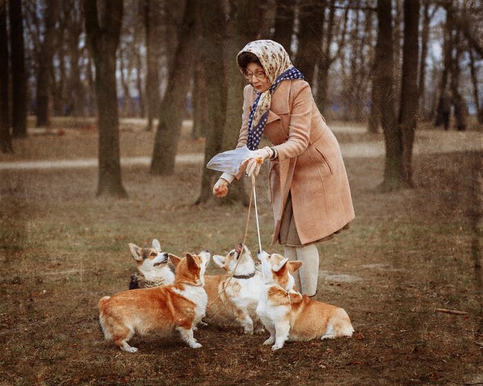 Elderly woman in vintage attire surrounded by four corgi dogs in a forest, showcasing incredible cosplays.