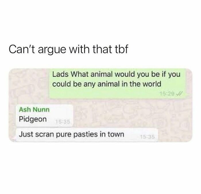 Text message exchange with chaotic British memes about choosing to be a pigeon eating pasties in town.