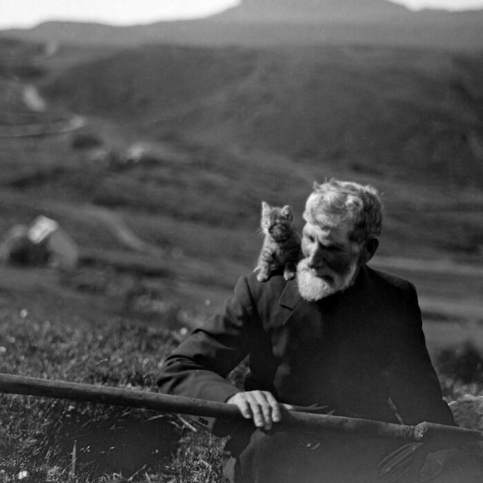 Vintage cats shown with an elderly man outdoors, highlighting the timeless charm of cats from centuries past.