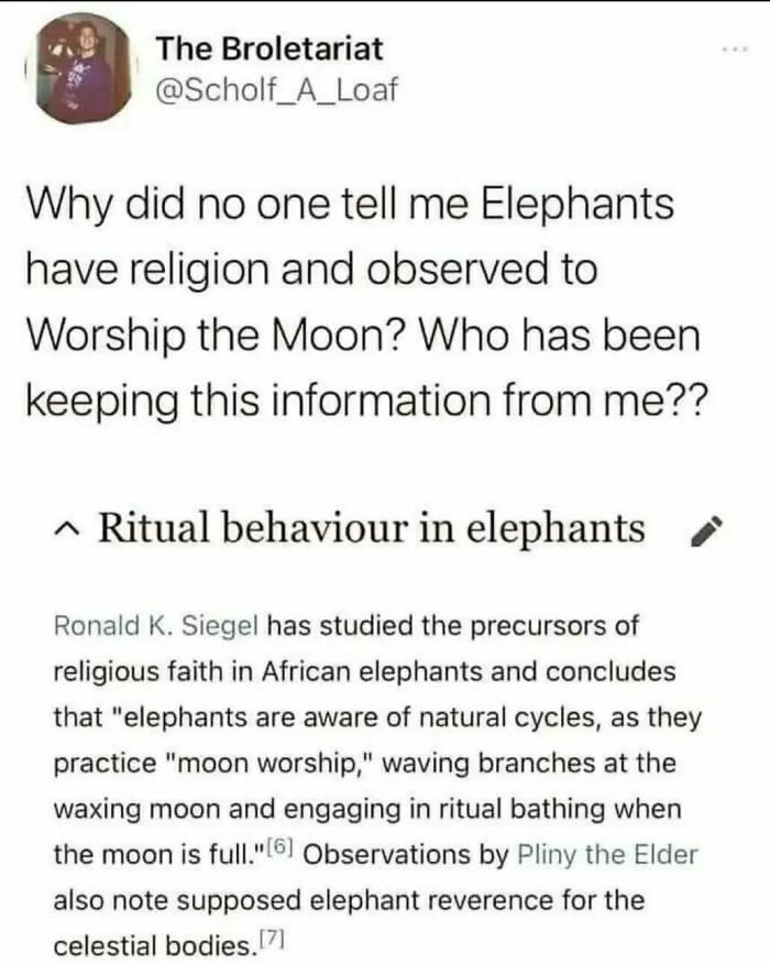 Social media post discussing elephants' ritual behavior and moon worship, featured in science memes about photosynthesis.