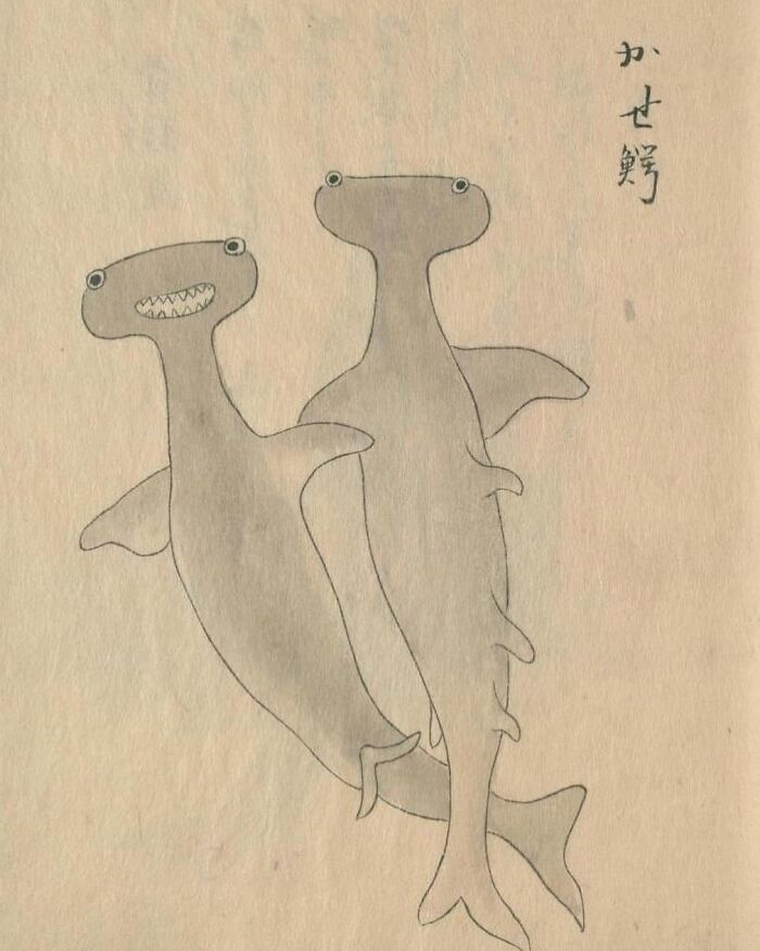 Illustration of two hammerhead sharks in a historical photo with interesting or heartbreaking backstories.