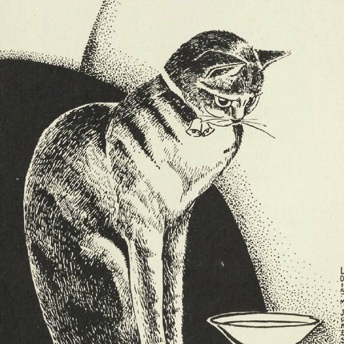 Vintage cats illustration showing a striped cat wearing a collar and bell, sitting and looking at a bowl.