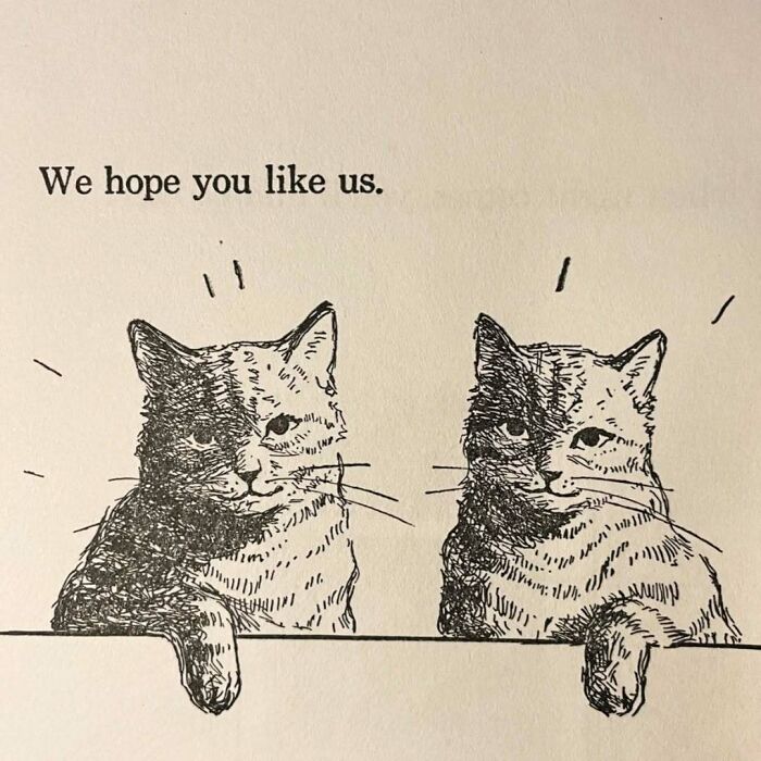 Vintage cats illustration with two hand-drawn cats under the text We hope you like us, showcasing vintage cat art style.