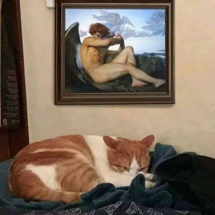 Orange and white cat lying on a bed below a framed painting of a winged figure, captured in a funny and strange moment.