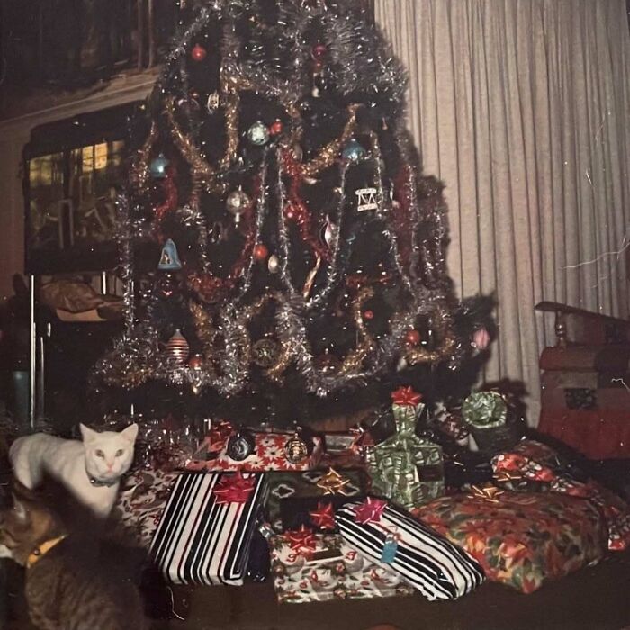 Vintage cats near a decorated Christmas tree with wrapped presents in a cozy indoor setting.