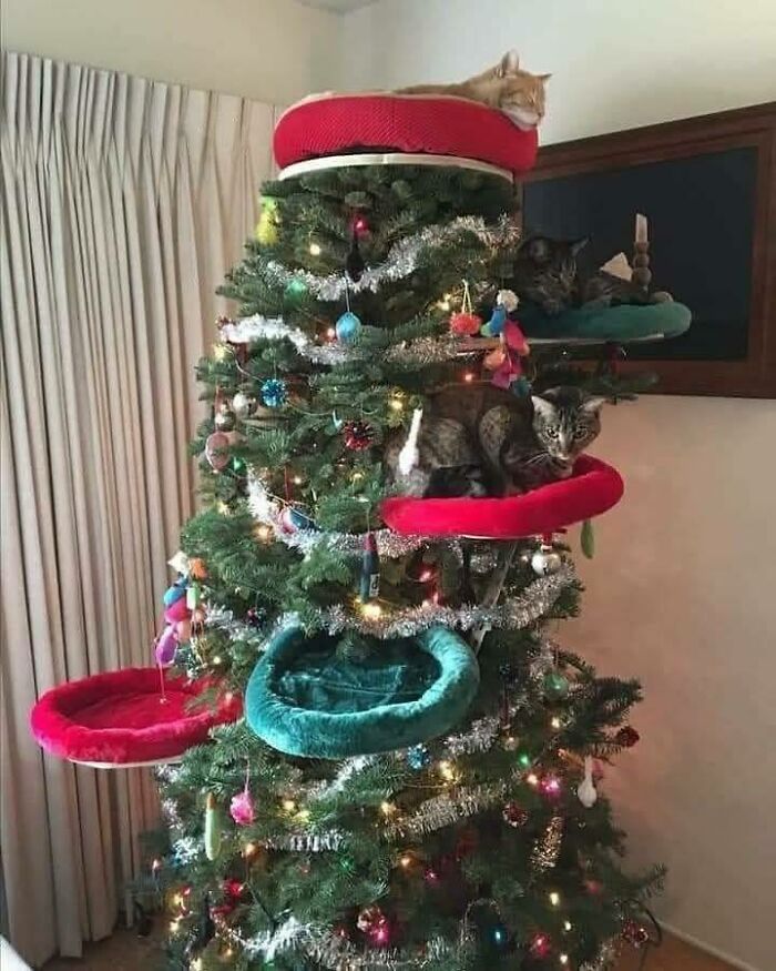 Christmas tree with multiple cat beds and three cats lounging on a crafty and ingenious pet-friendly decoration idea.