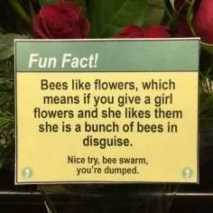 Fun fact sign about bees liking flowers, humorously stating girls who like flowers are bees in disguise in science memes.