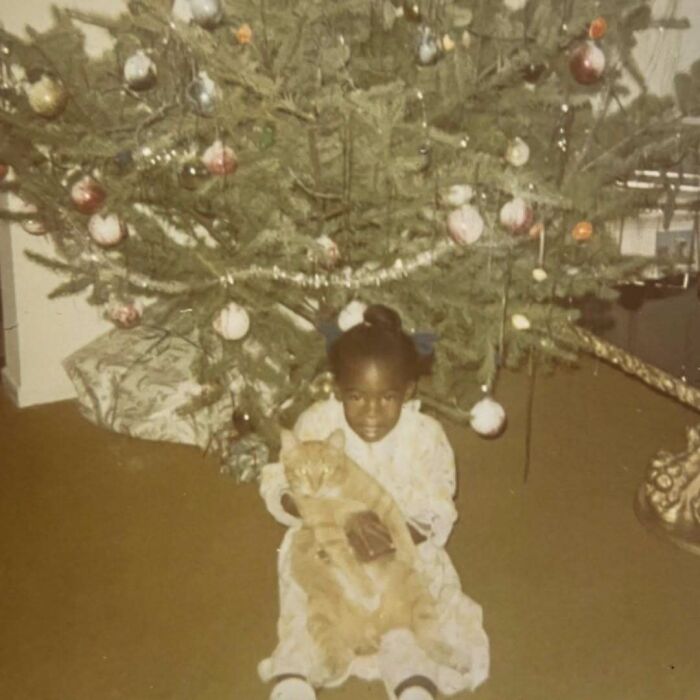 Vintage cats featured in a nostalgic scene with a child holding an orange cat by a decorated Christmas tree.