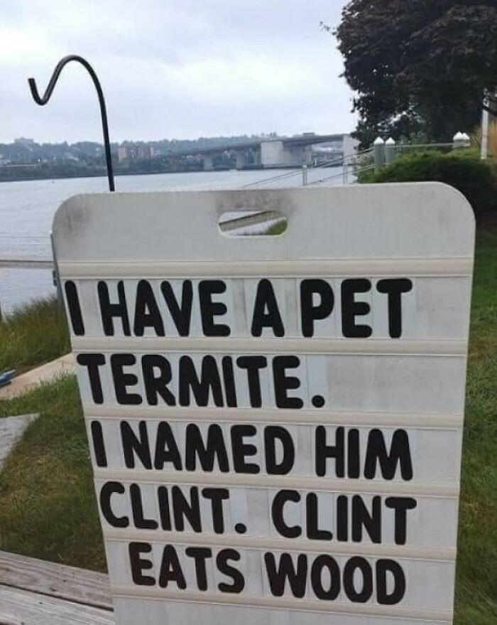 Funny outdoor sign with a clever crafty idea about a pet termite named Clint that eats wood near a riverside.