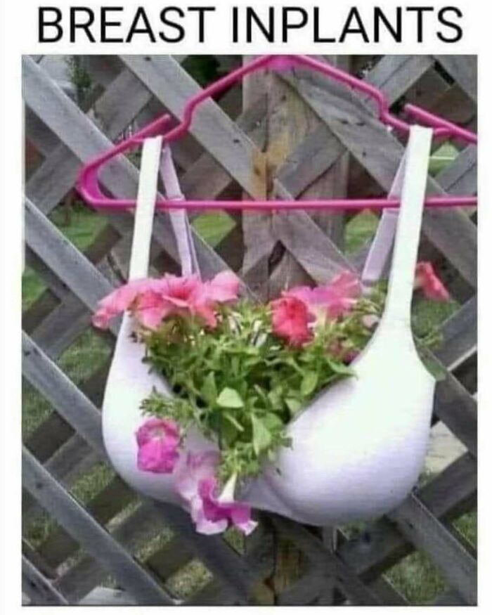 Creative crafty idea showing a bra repurposed as a flower planter hanging on a wooden trellis outdoors.