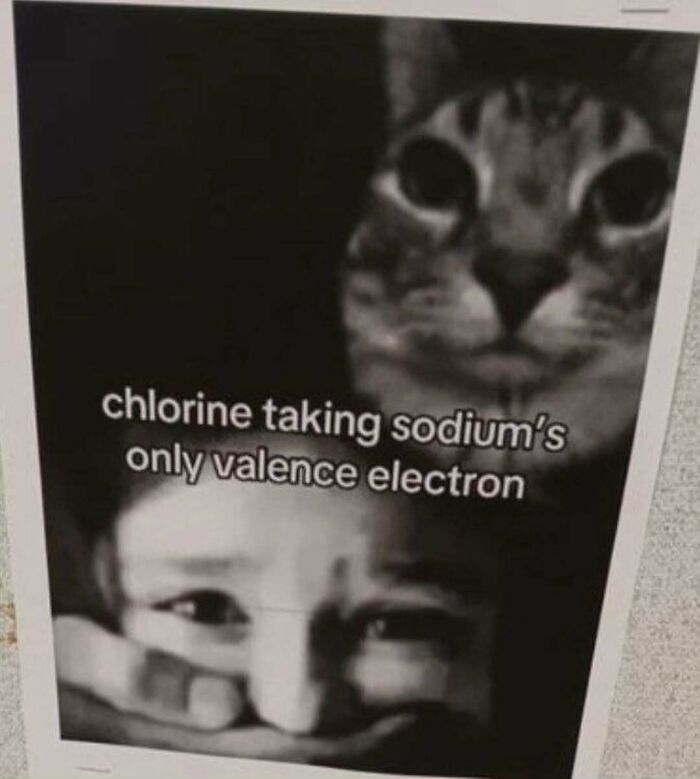 Dark meme showing a cat and a scared person with text about chlorine taking sodium's only valence electron humor meme.