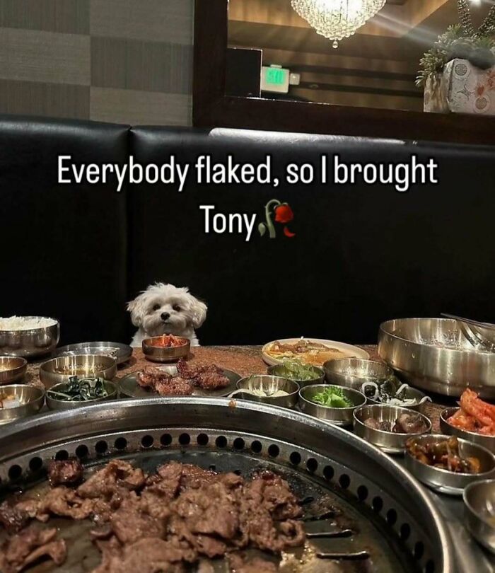 Small white dog sitting at a restaurant table with grilled meat and side dishes, funny meme for broken sense of humor.