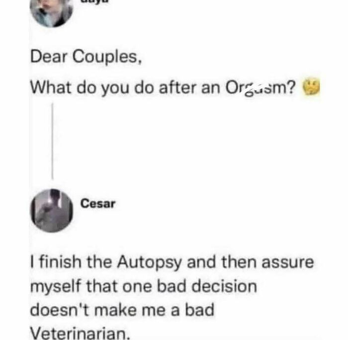 Funny random meme text exchange about couples and bad decisions, illustrating chaos and unfiltered fun in memes.