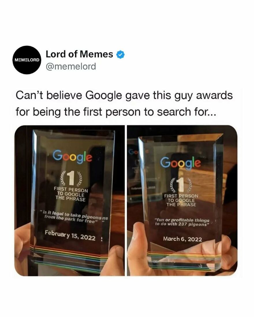 Two Google awards for being the first person to search unique phrases, shown in a social media meme post.