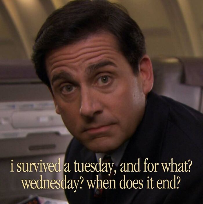 Man with a serious expression in an airplane seat with meme text about surviving days, fitting introvert-worthy memes humor.