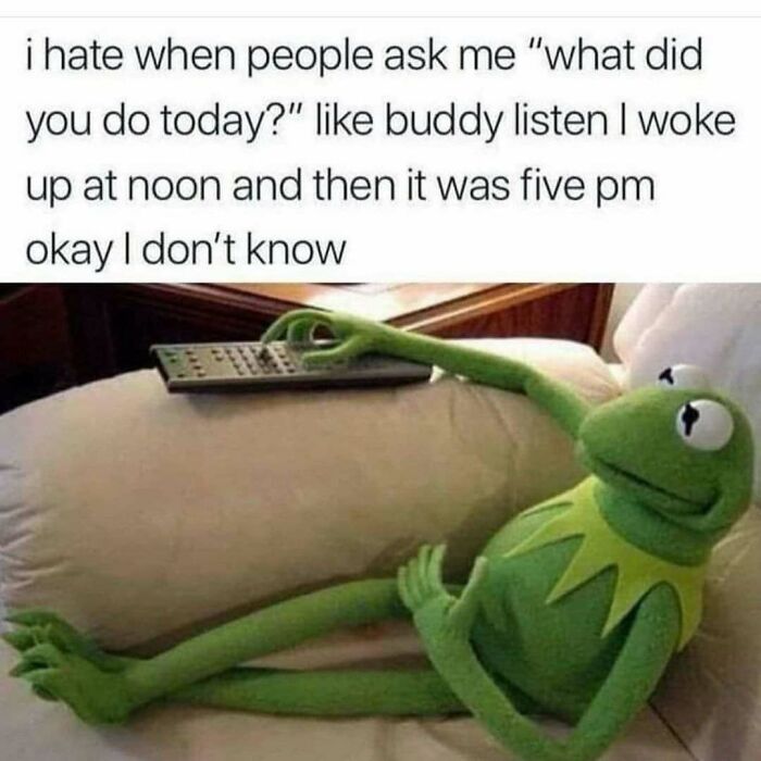 Funny meme with Kermit the Frog lounging on a couch, expressing a relatable too real life moment about wasting the day.