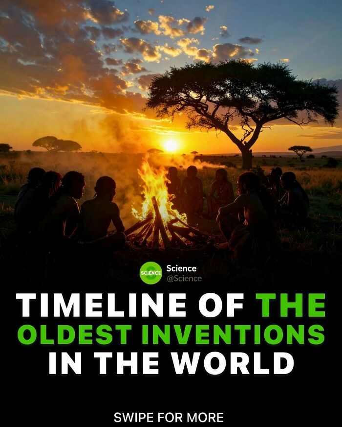 Silhouettes around a campfire at sunset with a tree, illustrating cool and interesting facts about the world and science.