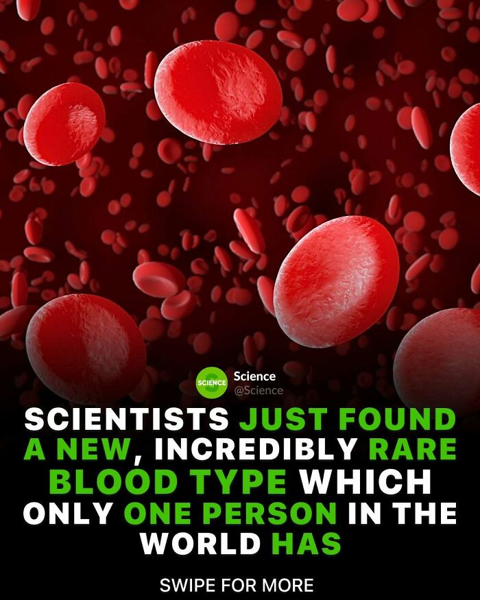 Red blood cells floating in blood vessels illustrating cool and interesting science facts about rare blood types.