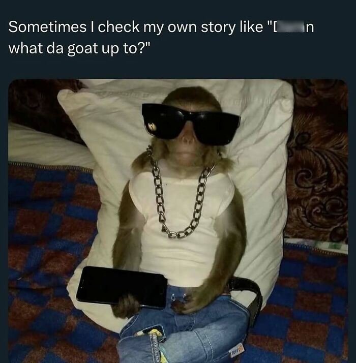 Monkey wearing sunglasses and chain, lying on a pillow with a phone, depicting introvert-worthy memes humor and relatability.