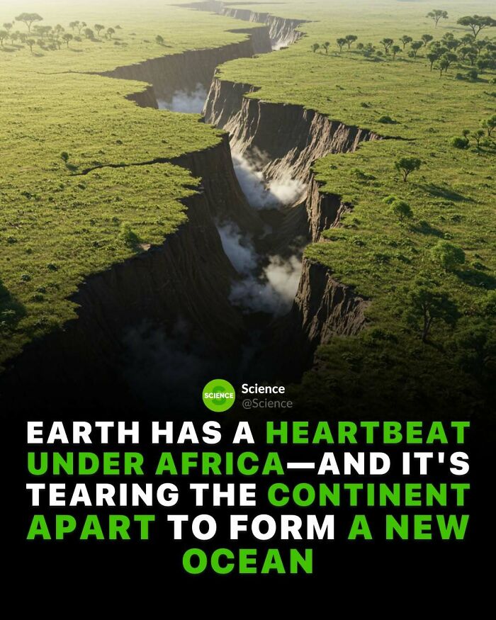 Massive rift in Africa shows amazing science and world facts about Earth’s shifting continents and new ocean formation.