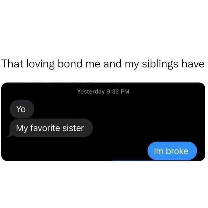 Text message meme showing sibling chat with humor, illustrating introvert-worthy memes that are funny and accurate about family bonds.