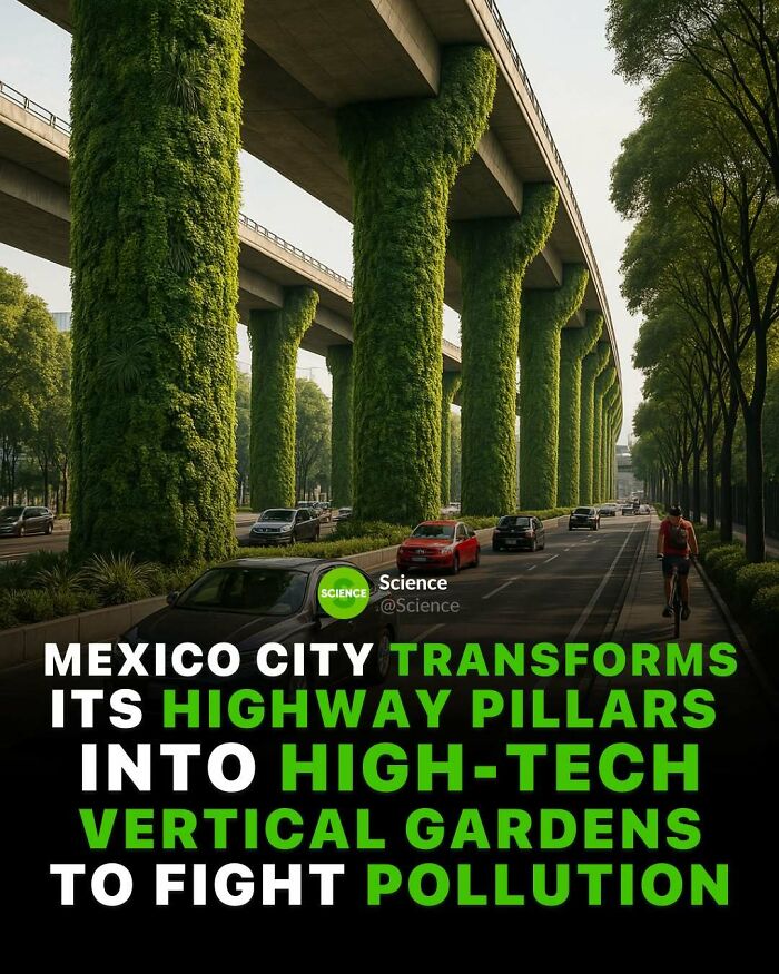 High-tech vertical gardens on Mexico City highway pillars showcase innovative science and world facts to reduce pollution.