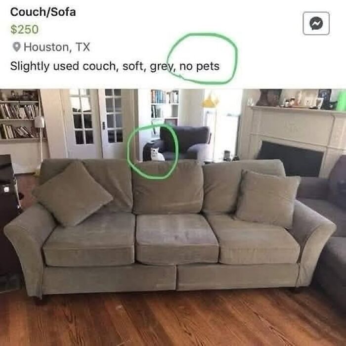 Used grey couch listed online for $250, with a hidden cat circled, part of random memes that bring laughter and fun.