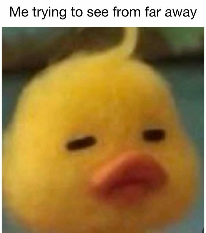 Blurry close-up of a duck meme with squinting eyes, illustrating a funny moment for daily dose of laughter and good vibes.