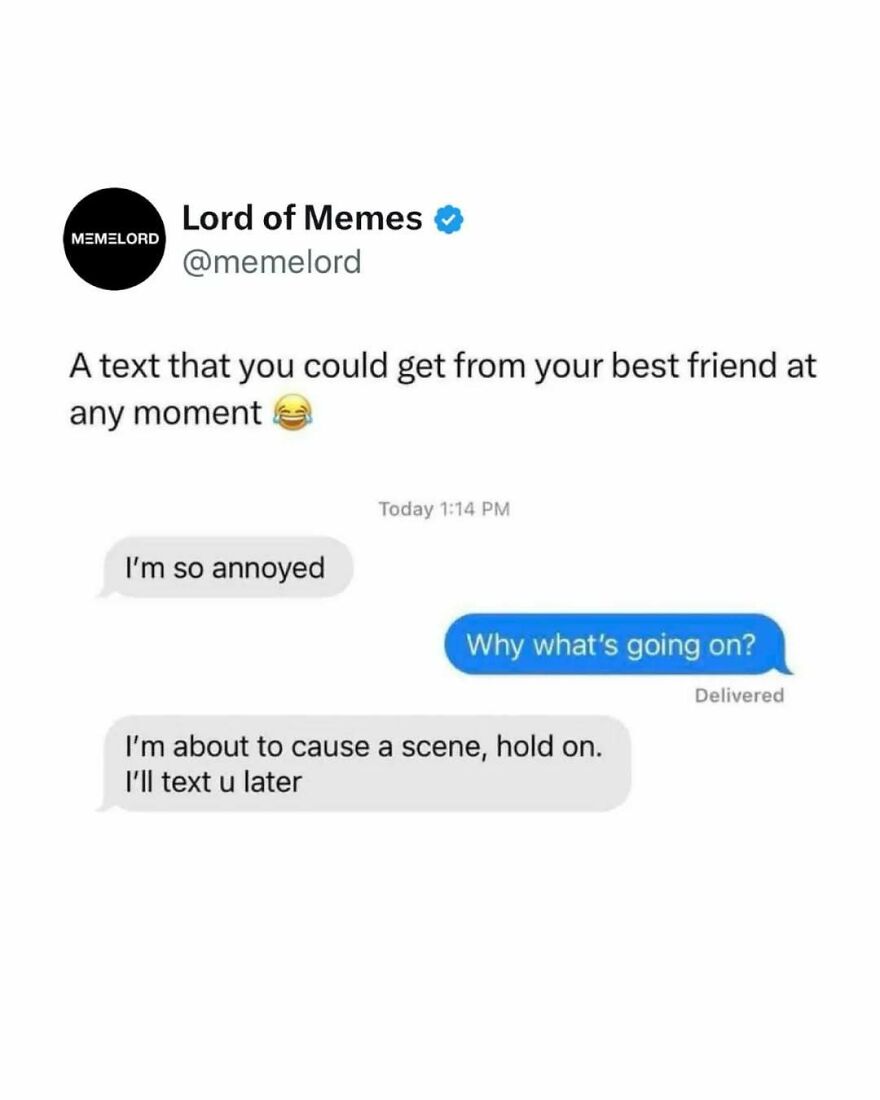 Text message meme showing a humorous conversation, included in 80 memes to break your doomscrolling cycle.