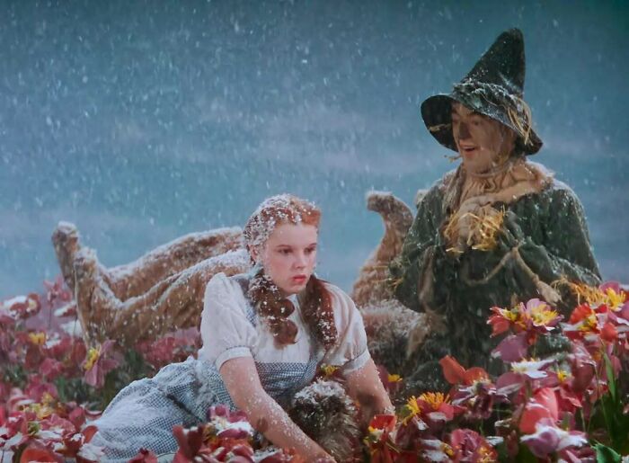Scene from a classic film showing a young girl and a scarecrow figure surrounded by colorful flowers in snow, historical photos context.