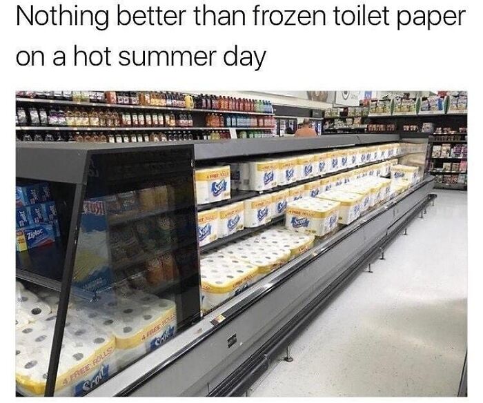 Frozen toilet paper in a grocery store freezer, a humorous meme relatable to introvert-worthy memes and summer heat.