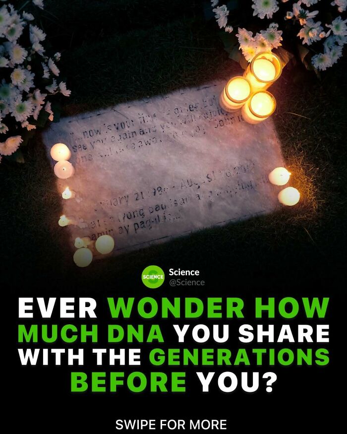 Gravestone surrounded by candles and flowers with text about DNA and generations in world and science facts.