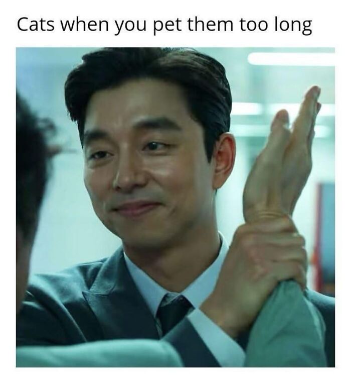 Man in suit gently holding another person's wrist with caption about cats being petted too long, introvert-worthy memes theme.
