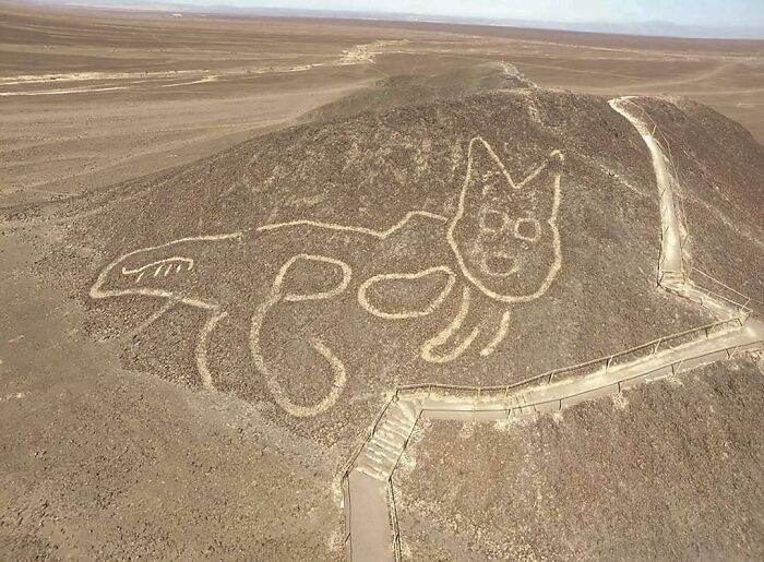 Ancient geoglyph of a cat etched into a hill surrounded by desert, part of historical photos with interesting backstories.