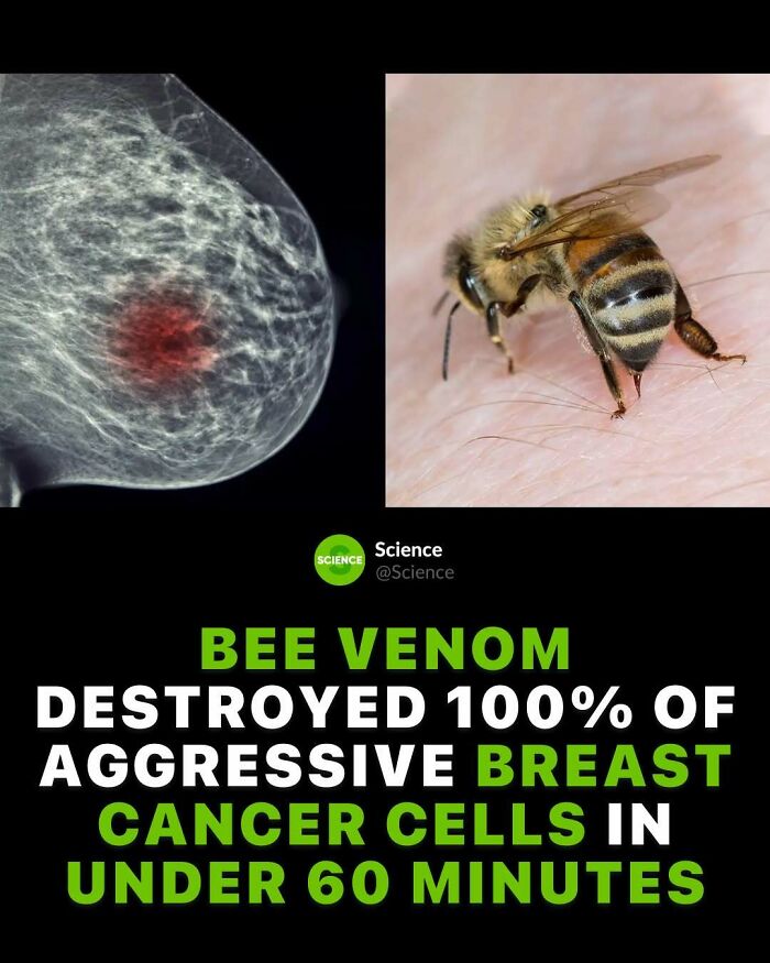 Close-up of a bee and breast scan highlighting cool and interesting facts about science and the world.