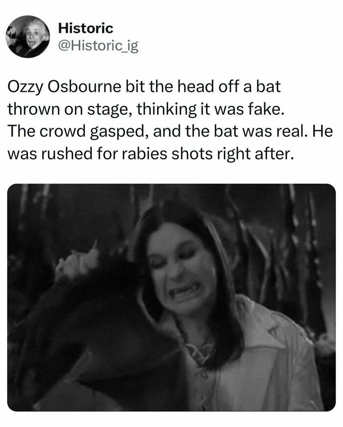 Ozzy Osbourne biting the head off a real bat on stage, a shocking moment captured in historic photos with fascinating stories.