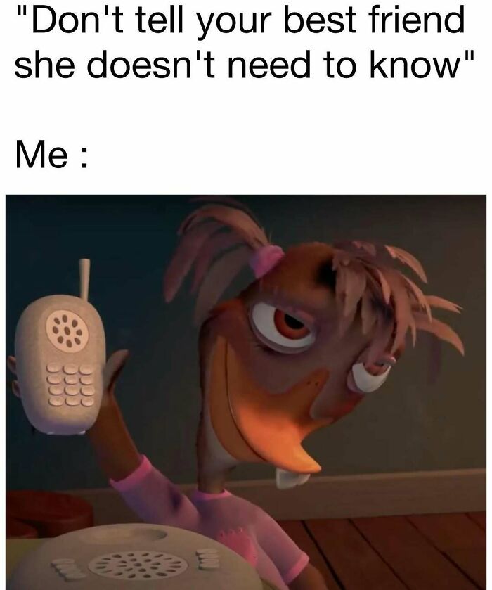 Funny meme showing a cartoon bird holding a phone with a sly expression, perfect for daily dose of laughter and good vibes.