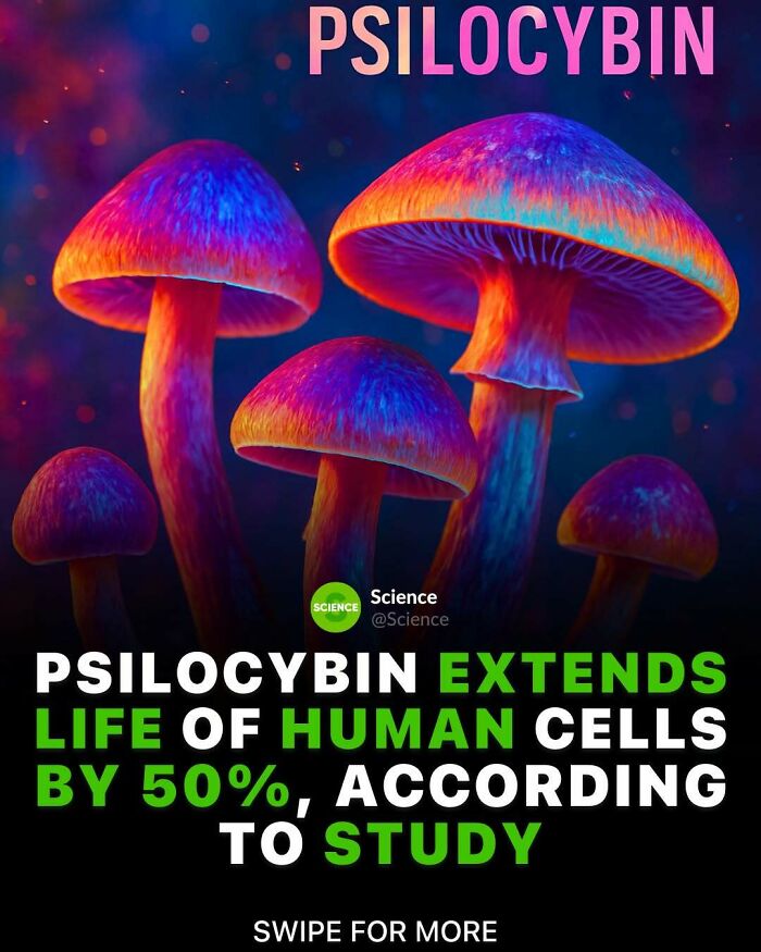 Colorful mushrooms representing psilocybin with text about science facts on extending human cell life by 50 percent in a study.